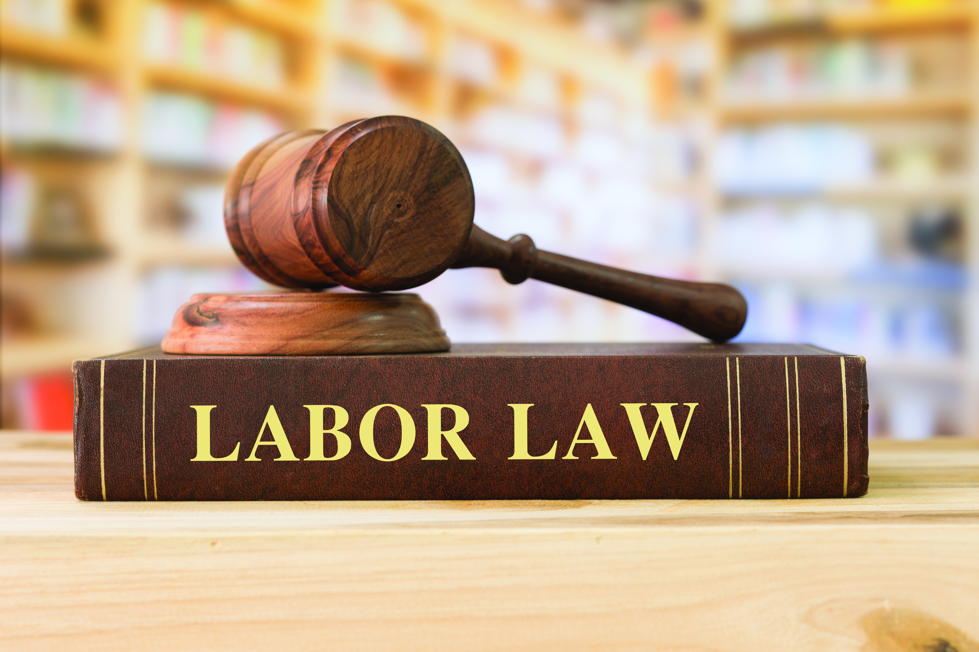 Labor and Employment Issues for Nonprofits